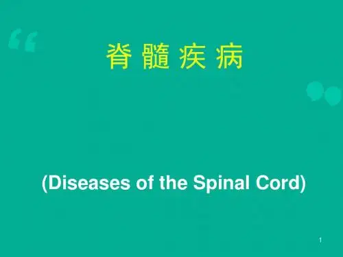 脊髓疾病  ppt课件