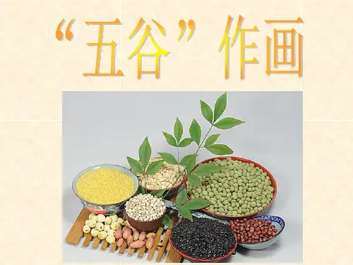 人教版美术四年级下册《五谷作画》PPT