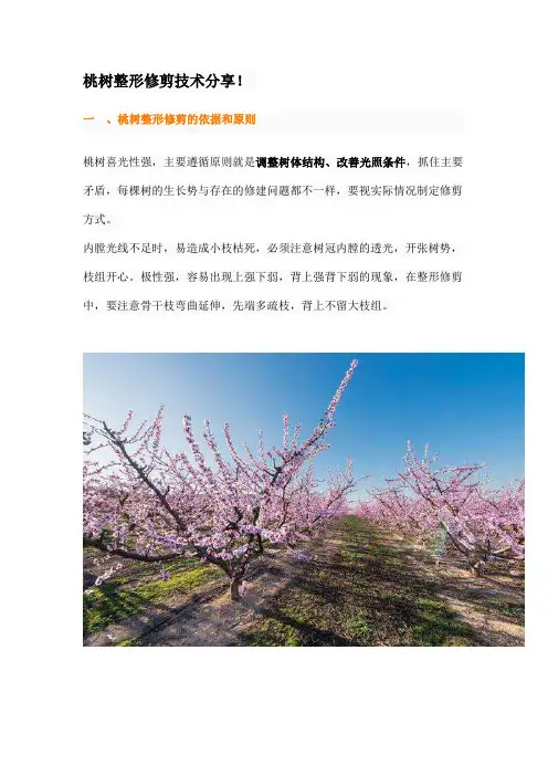 桃树整形修剪技术分享