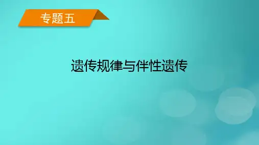 老高考适用2023版高考生物二轮总复习专题5遗传规律与伴性遗传第2讲伴性遗传与人类遗传参件