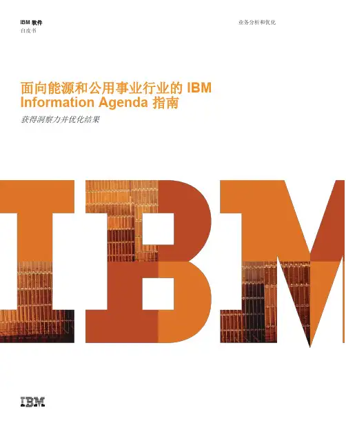 IBM 软件 业务分析和优化 白皮书说明书