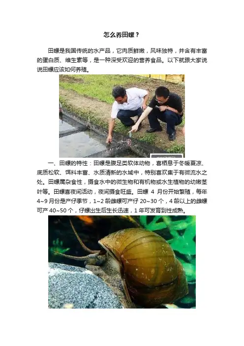 怎么养田螺？