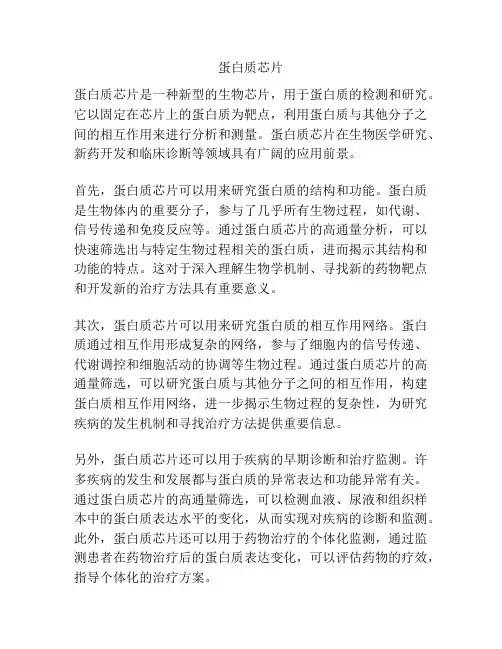 蛋白质芯片