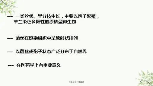 药真菌学与放线菌课件