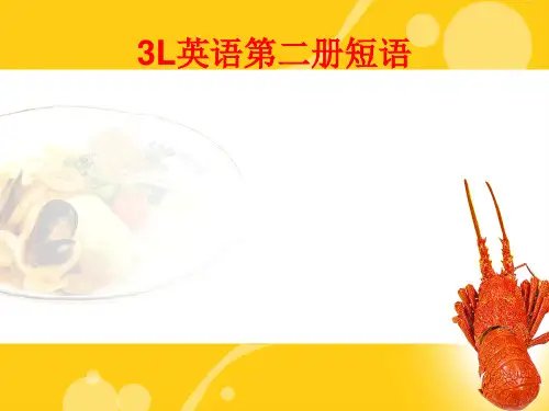 朗文3L英语(看听学)第二册短语大全-(第一部分)