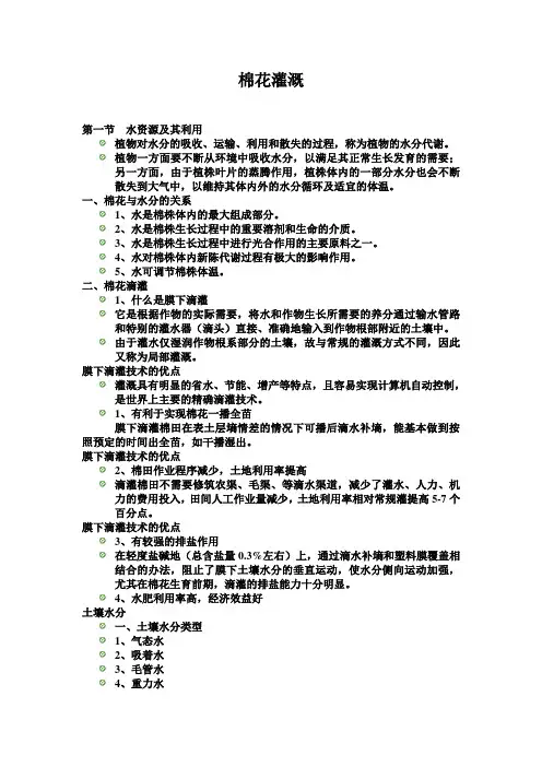 棉花灌溉