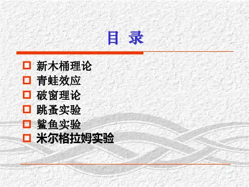 安全管理借鉴的理论(PPT 11页)