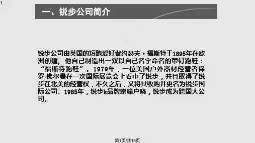 锐步公司营销案例分析PPT课件