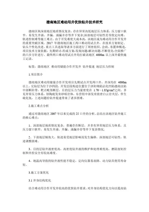 渤南地区难动用井优快钻井技术研究