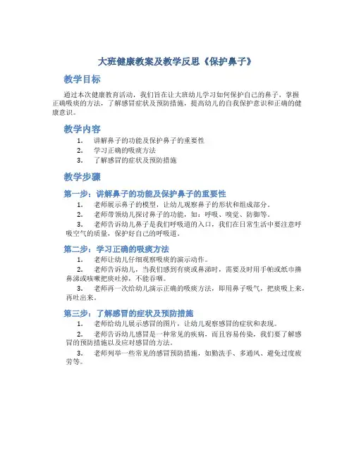 大班健康教案及教学反思《保护鼻子》