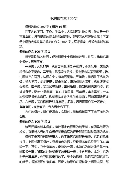 枫树的作文300字（精选16篇）