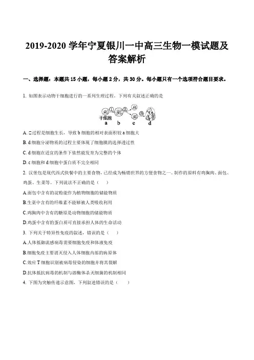 2019-2020学年宁夏银川一中高三生物一模试题及答案解析