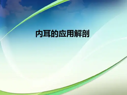 内耳解剖 PPT