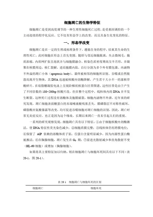 细胞凋亡的生物学特征