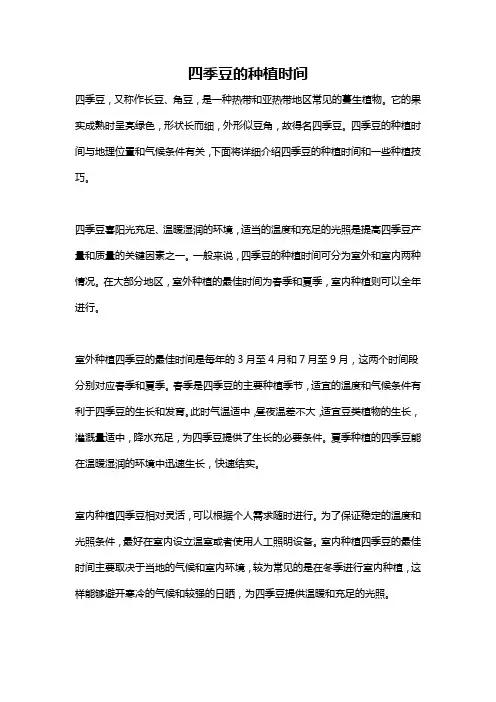 四季豆的种植时间