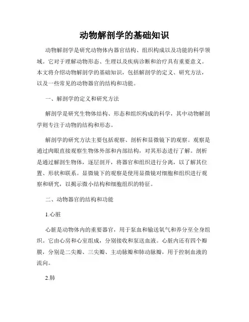动物解剖学的基础知识