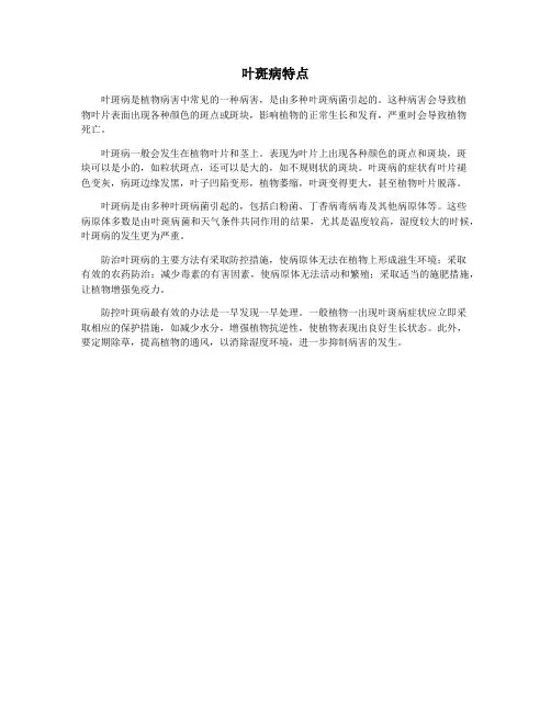 叶斑病特点