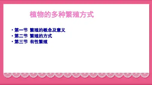 《植物的多种繁殖方式 》上课ppt(共24张ppt)