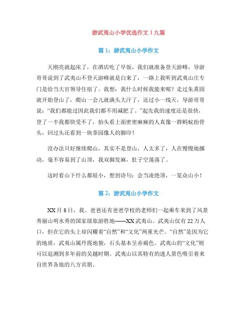 游武夷山小学优选作文1九篇