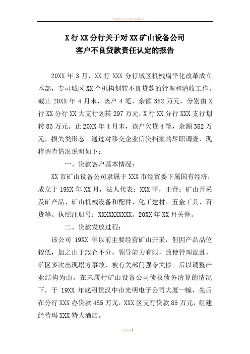 不良贷款责任认定的报告