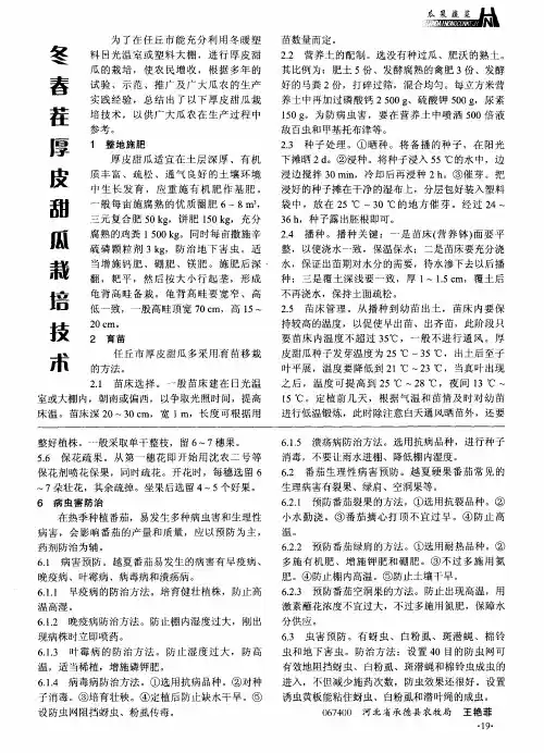 冬春茬厚皮甜瓜栽培技术