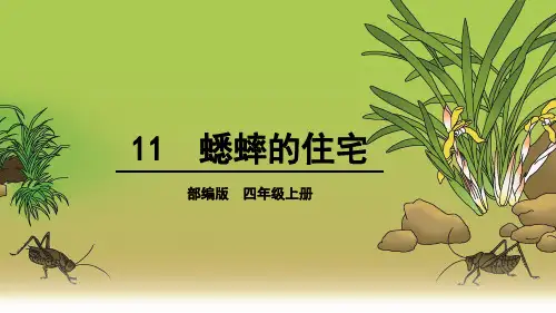 部编人教版四年级语文上册第11课《蟋蟀的住宅》精美课件(共66张PPT)