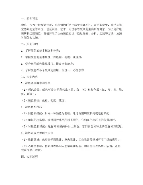 认知颜色实训报告