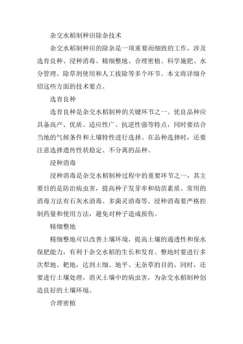 杂交水稻制种田除杂技术