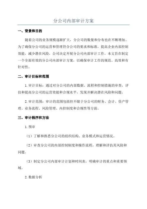 分公司内部审计方案