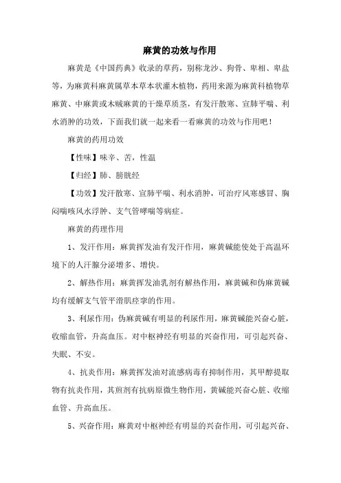 麻黄的功效与作用