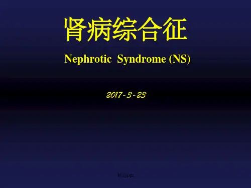 肾病综合征教学查房