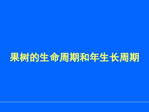 3果树的生命周期和年生长周期