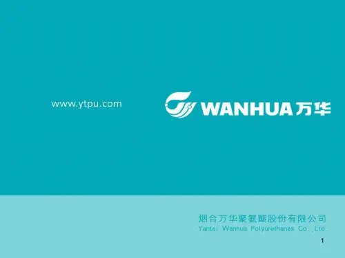 雷达液位计PPT