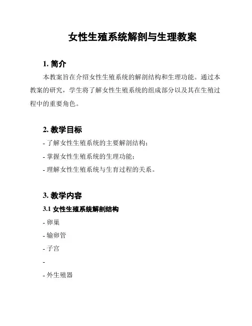 女性生殖系统解剖与生理教案