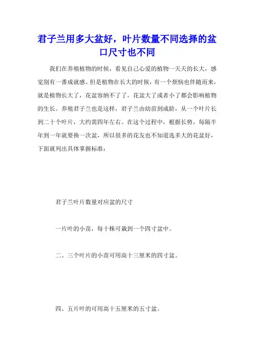 君子兰用多大盆好,叶片数量不同选择的盆口尺寸也不同