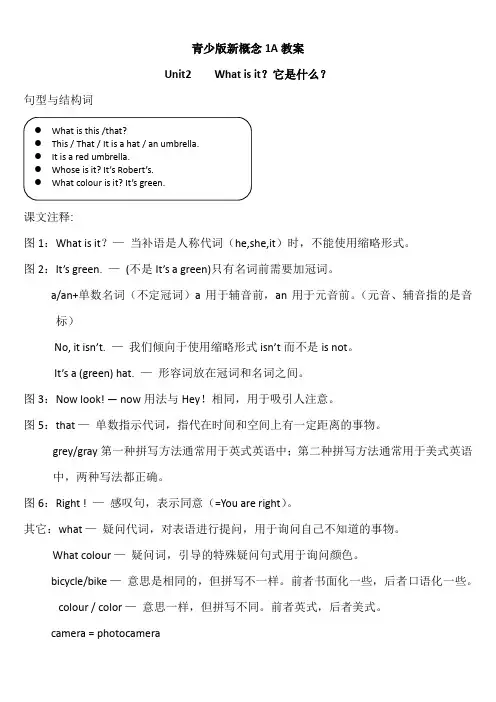 新概念英语青少版 1A Unit 2 教案
