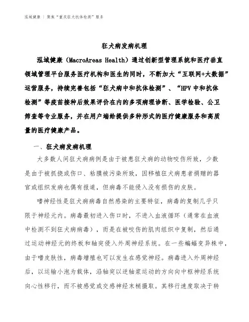 重庆狂犬抗体检测：狂犬病发病机理