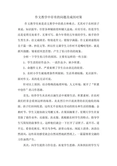 作文教学中存在的问题及成因对策