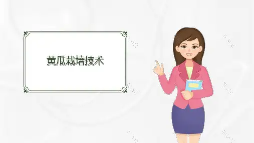 黄瓜栽培技术课件(共15张PPT)《蔬菜生产技术》同步教学(湖南科技出版社)