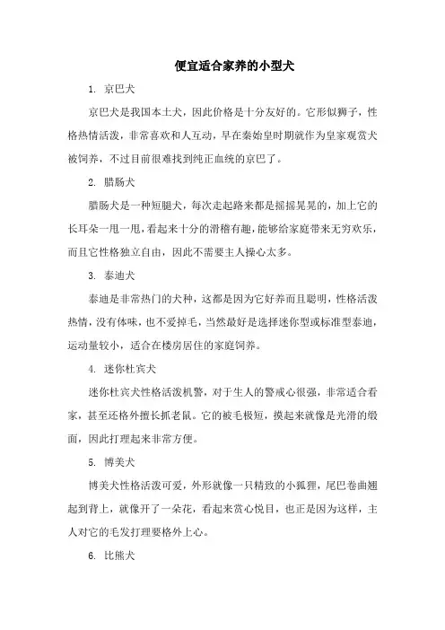 便宜适合家养的小型犬