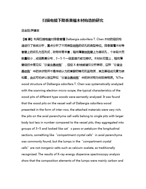 扫描电镜下降香黄檀木材构造的研究