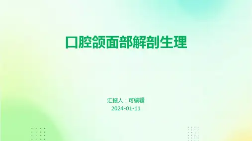 口腔颌面部解剖生理