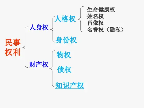 高中政治选修五：2.4切实保护知识产权 课件(共57页)