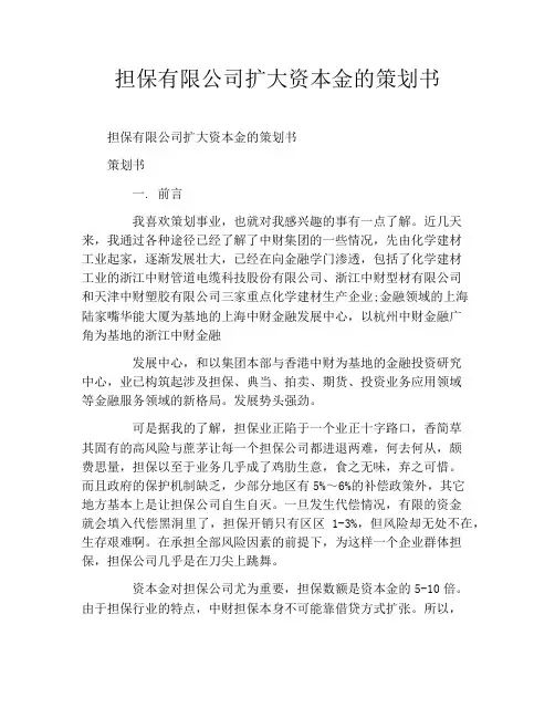 担保有限公司扩大资本金的策划书