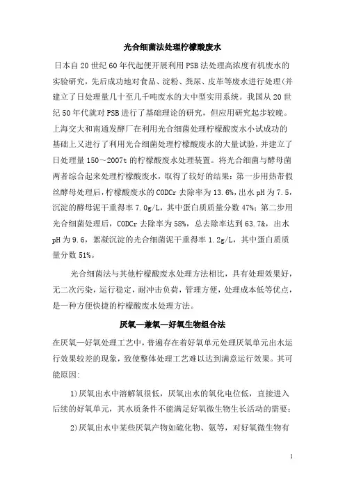 0254.光合细菌法处理柠檬酸废水