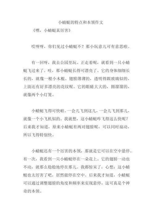 小蜻蜓的特点和本领作文