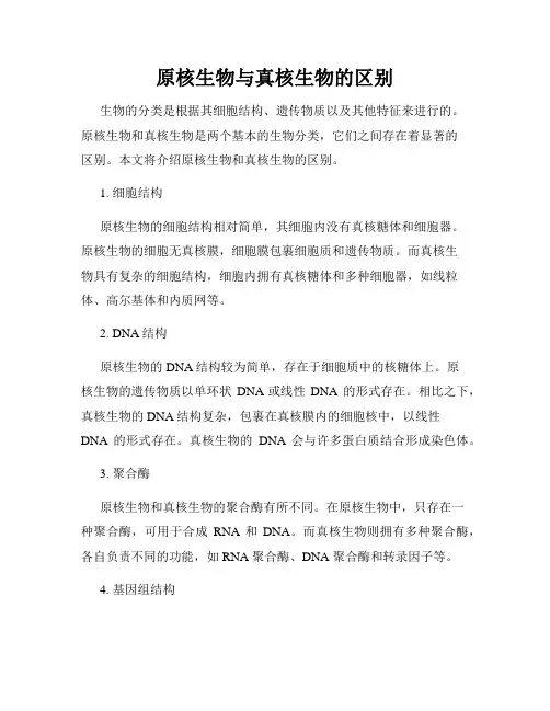 原核生物与真核生物的区别