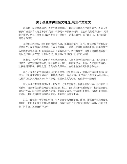 关于孤独的初三范文精选_初三作文范文
