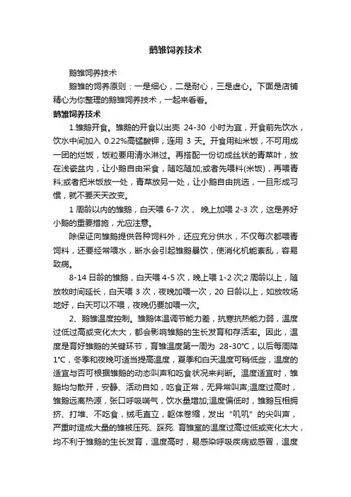鹅雏饲养技术