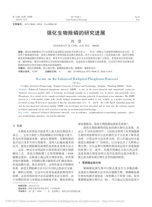 强化生物除磷的研究进展